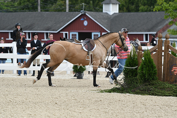 HSM_5222
