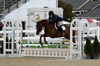 HSM_3223