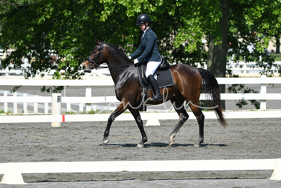 HSM_1183