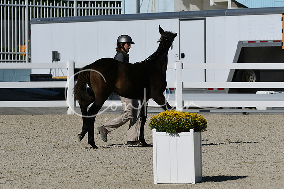 HSM_4501