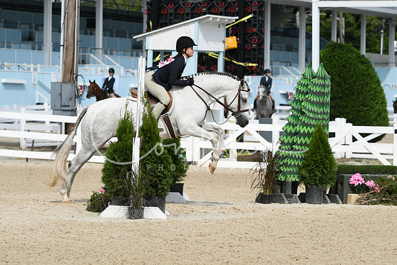 HSM_6187