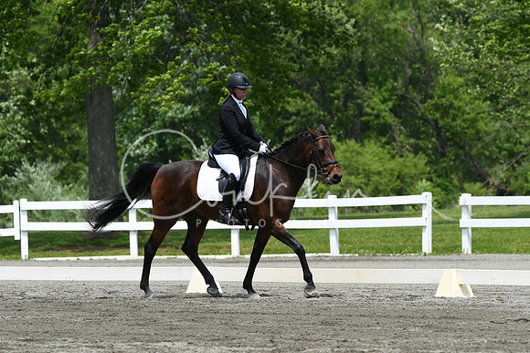 HSM_0446