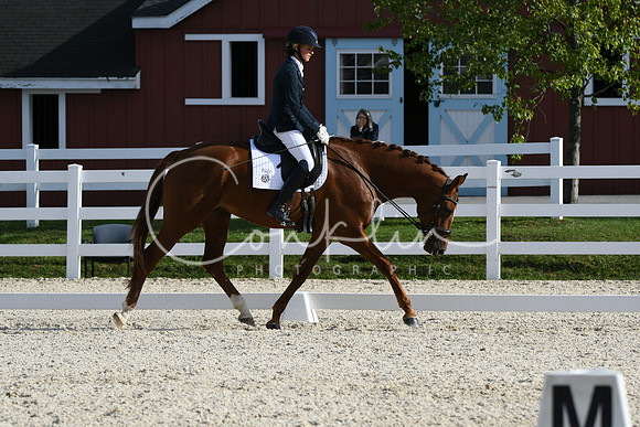 HSM_6933
