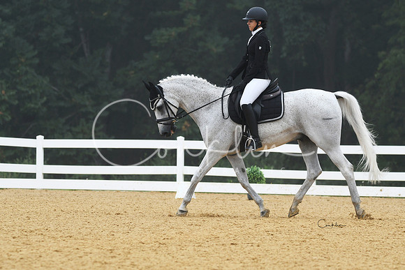 HSM_0911-1