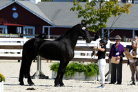HSM_4721