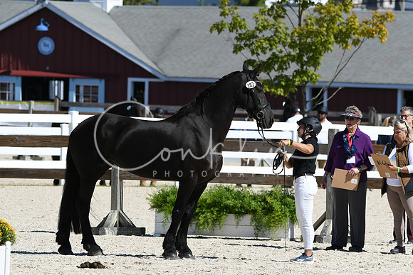 HSM_4721