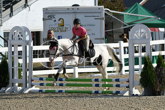 HSM_1264