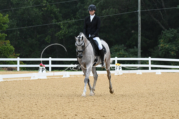 HSM_0631