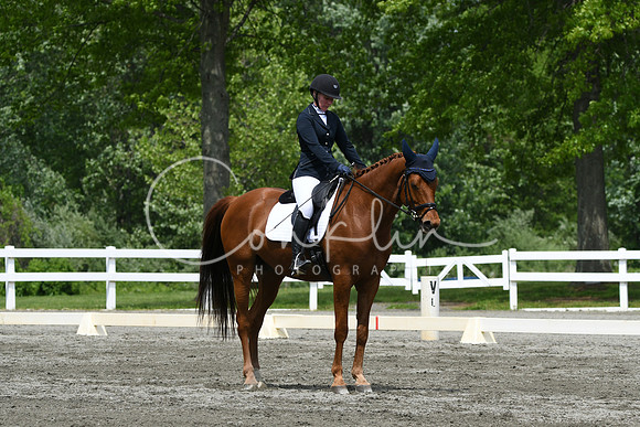 HSM_0541