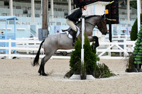 HSM_4956-1