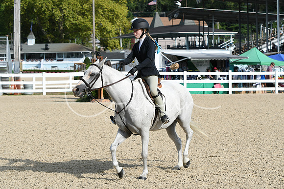 HSM_5820