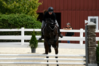HSM_2532