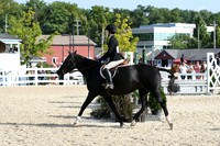 HSM_8178