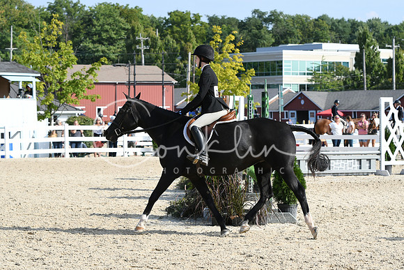 HSM_8178