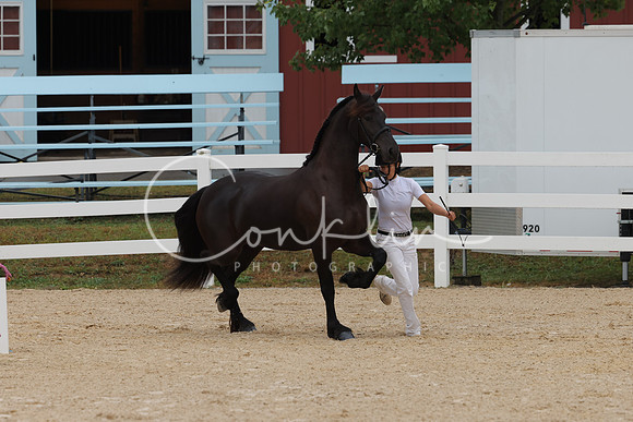 HLK_3519