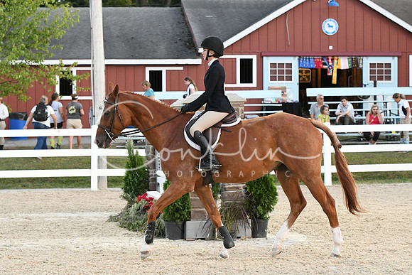 HSM_0388