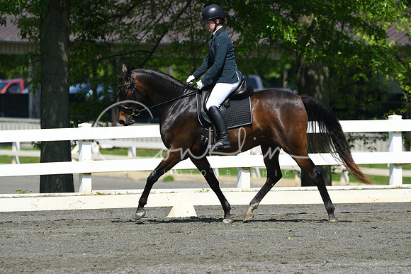 HSM_1185