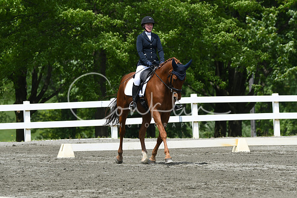 HSM_0539