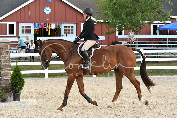 HSM_0383