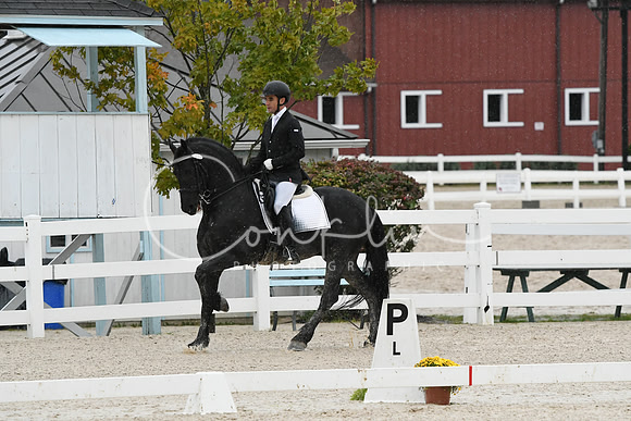 HSM_0157