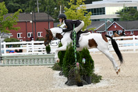 HSM_5085