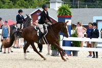 HSM_8683