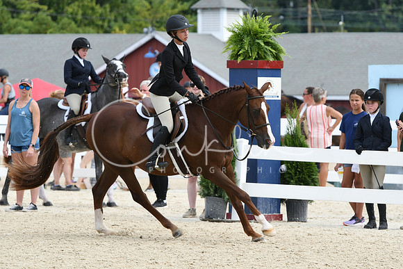 HSM_8683