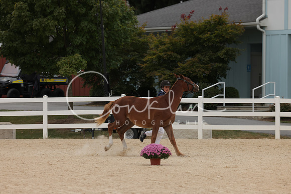 HLK_1927