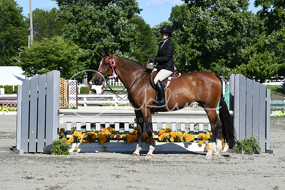 HSM_9132