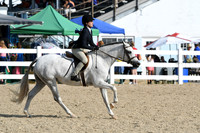 HSM_8172