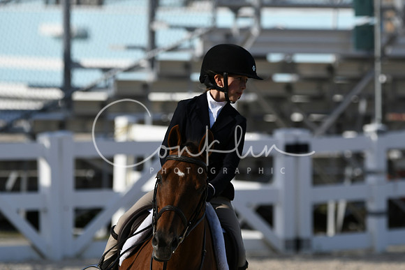 HSM_4356