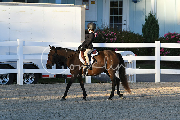 HSM_1598