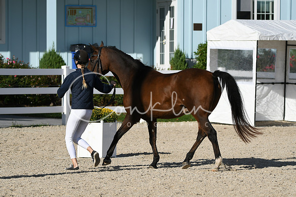 HSM_4353