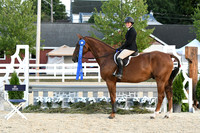 HSM_0480