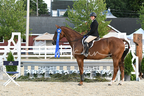 HSM_0480