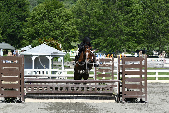 HSM_8974