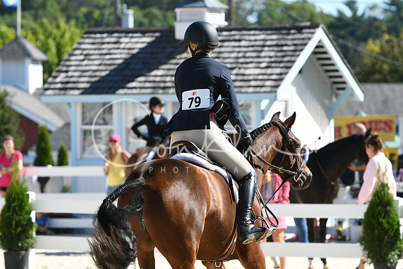 HSM_2585