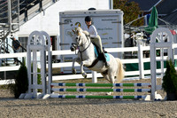 HSM_1078