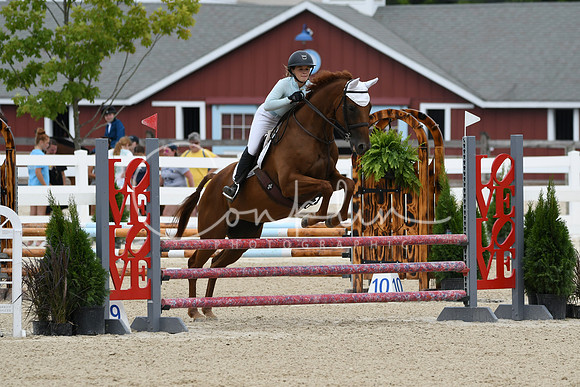 HSM_2650