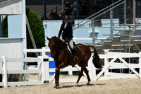 HSM_8953