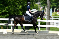 HSM_1345