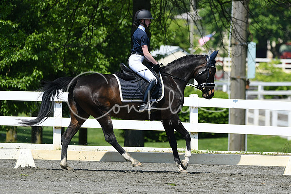 HSM_1345