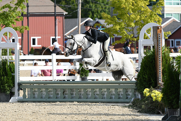HSM_5824