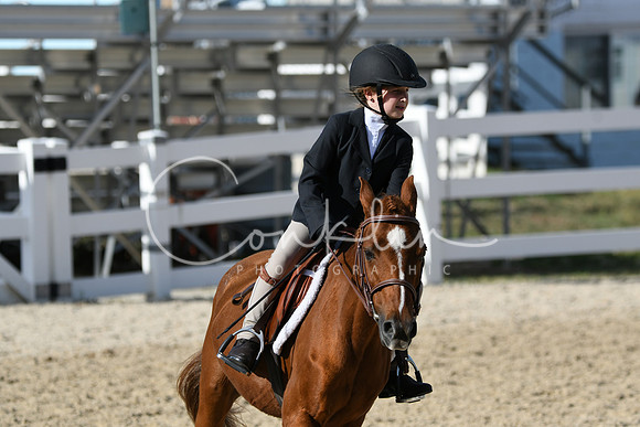 HSM_4184