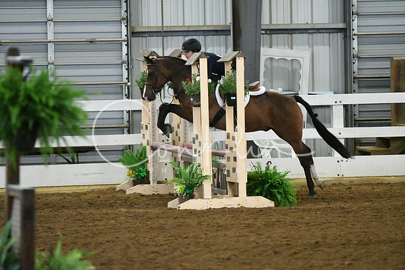 HSM_5437
