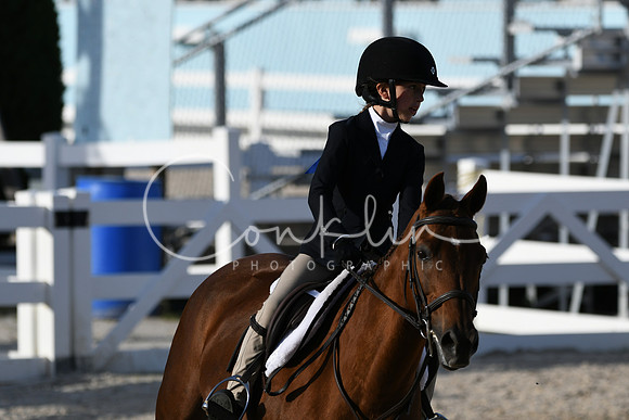 HSM_4398