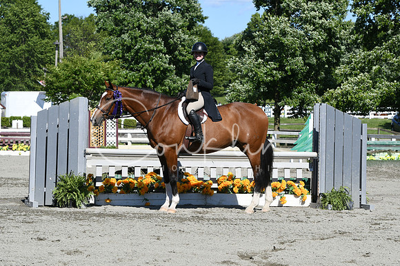 HSM_9151