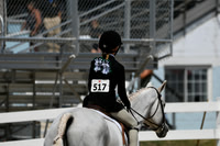 HSM_3074