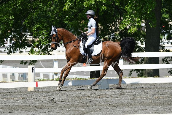 HSM_1329