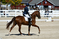 HSM_6868